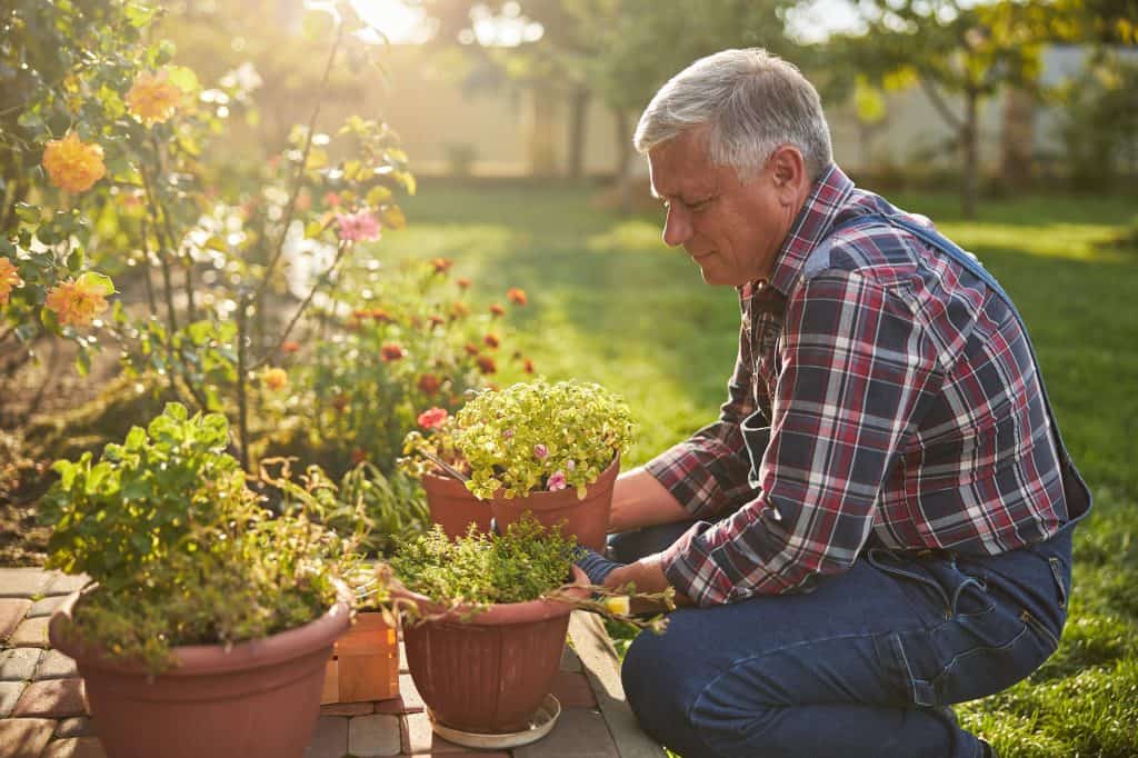 Senior citizen kneeling and holding a blooming potted flower